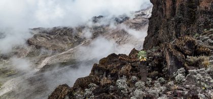 kilimanjaro top 1 (9)